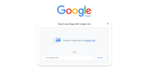 Image Search Techniques
